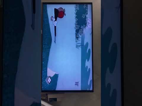 تيتش قادح يضحك باغز باني