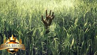 Uncover the Mystery Behind In the Tall Grass - Hindi / Urdu Movie Explained!