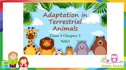 Adaptations in Terrestrial Animals - Module 2.2 (Chapter 2 - Olympiad Class 4 Science)