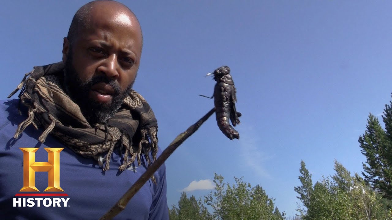 vikings serie Alone: Britt Eats a Hefty Grasshopper (Season 5, Episode 2) | History