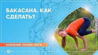 Как научиться делать стойку баланс на руках - бакасану. Е. АНдросова