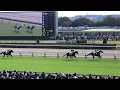 ［蔵出し］【現地】ニシノプロポーズ 田辺裕信 2歳未勝利