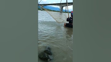 Bamboo net fishing#Siang river#youtubeshorts #arunachalpradesh #trending #rural #shorts