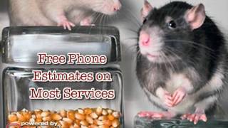 Annihilators Inc Of MD - (410)465-1778