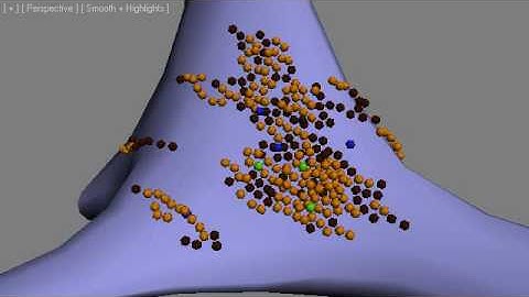 Stem cells PFlow #Box2 PhysX