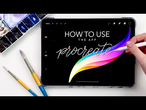 How To Use Procreate For Beginners (and everything I use it for)