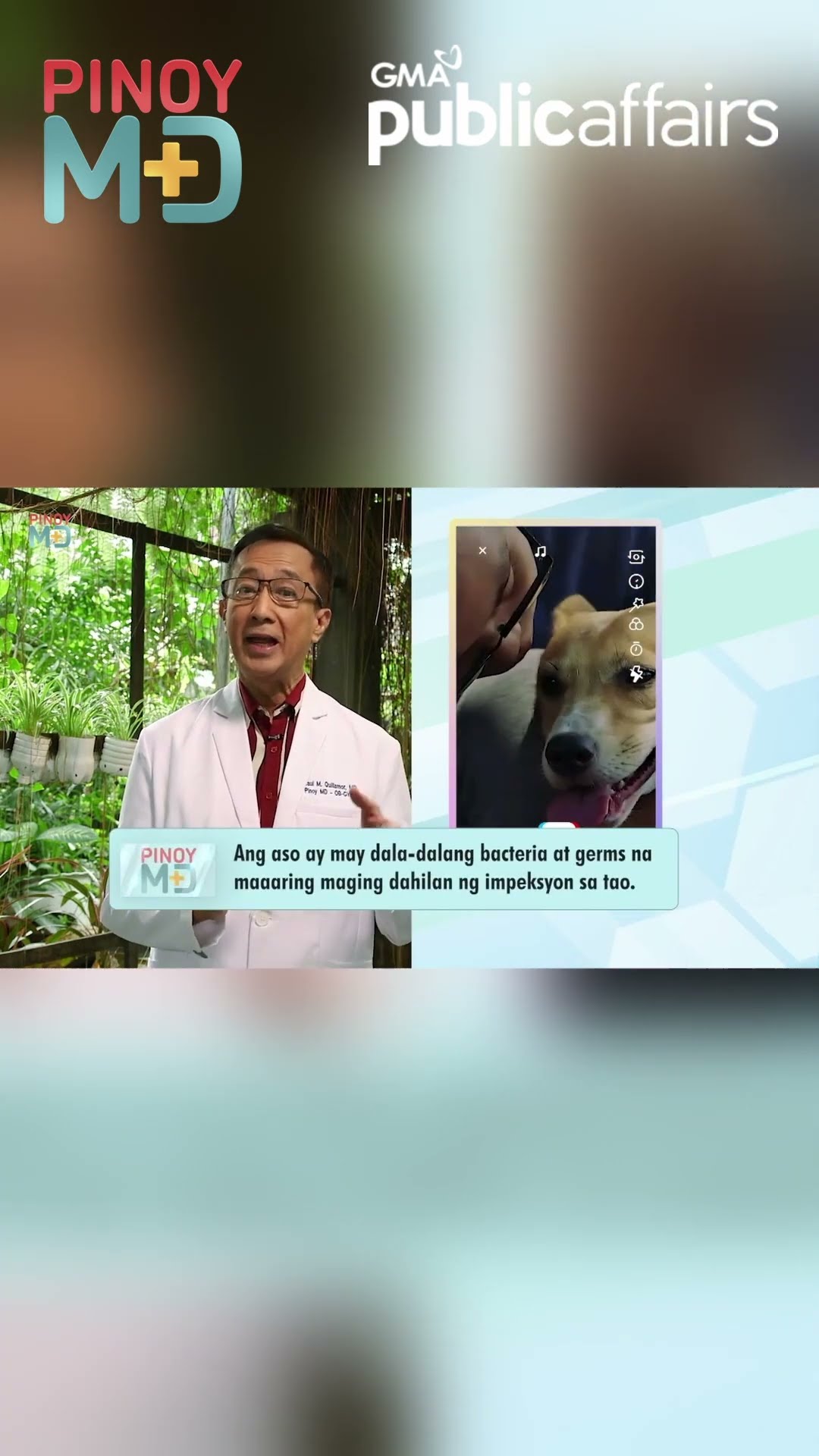 Pagtabi sa mabalahibong aso kapag buntis, bawal nga ba? | Pinoy MD