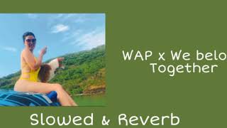 WAP x We belong Together  (SLOWED & Reverb)