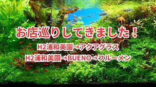 休日にアクアショップ巡りをしてきました！