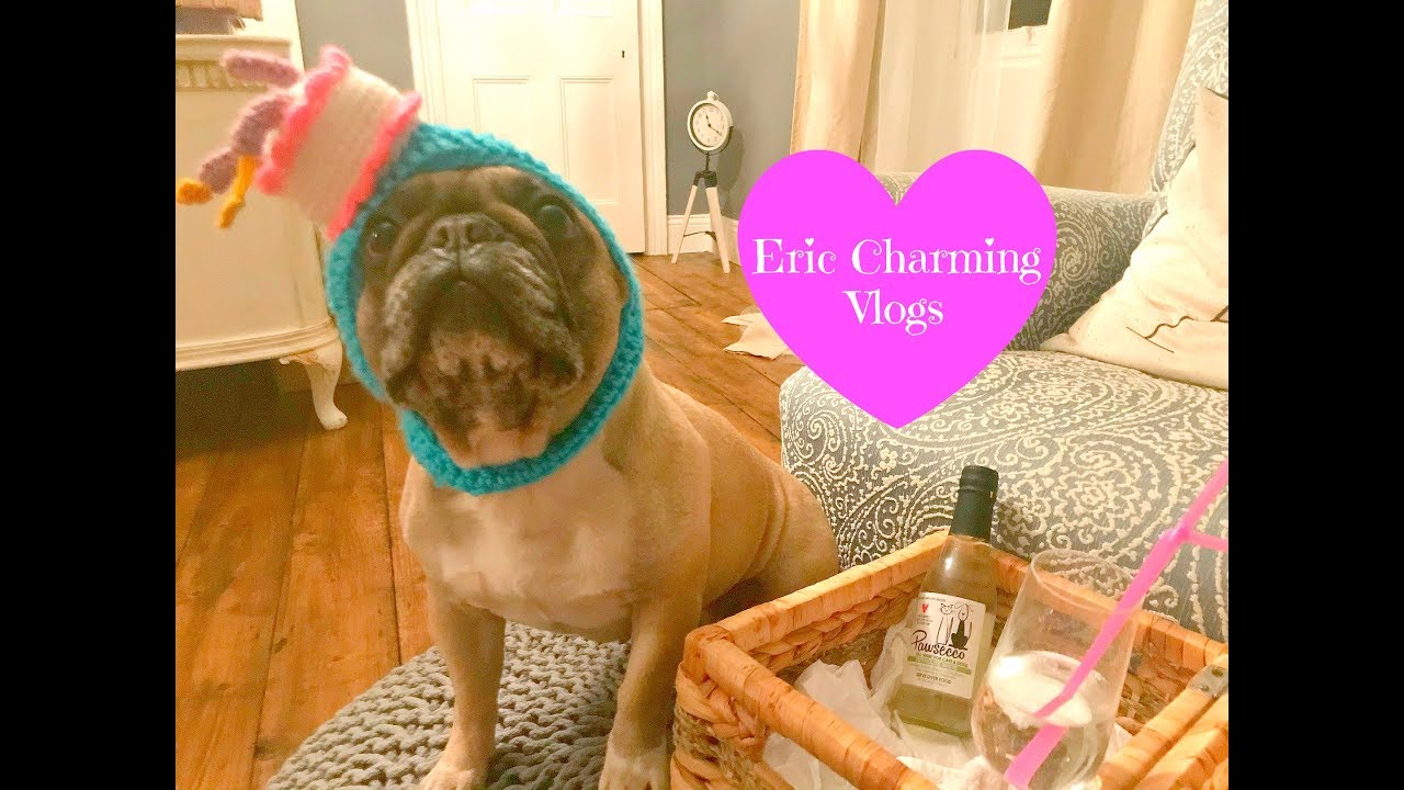 Happy 5th Birthday Miss Patsy Darling! (Eric Charming Vlogs)