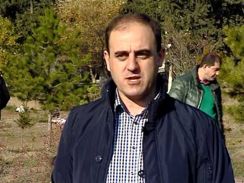 თბილისში გამწვანების საშემოდგომო სეზონზე 20 000-მდე ხე დაირგვება