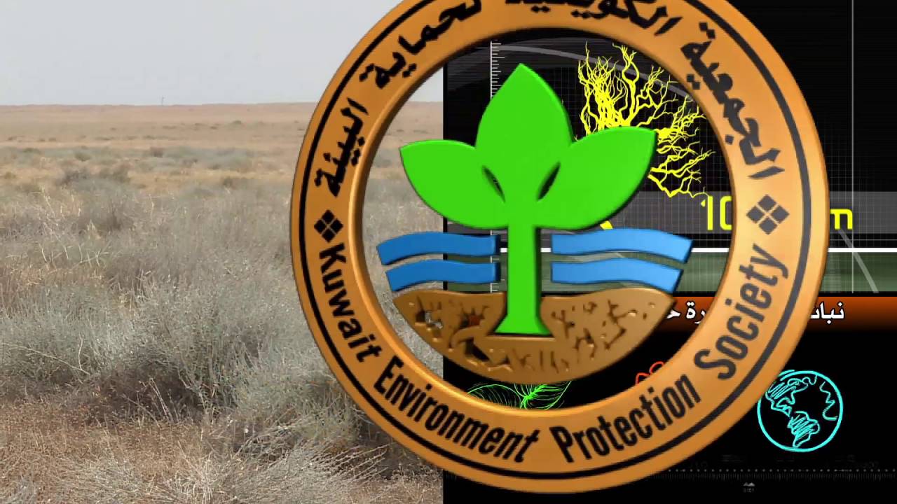 برنامج كل يوم نبتة حلقة نبات الرخامى الحلقة الرابعة عشر
