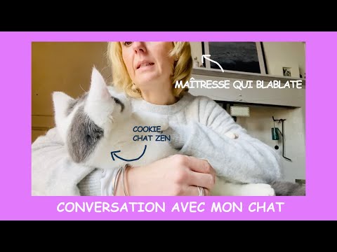 Conversation avec mon chat - Chat 61