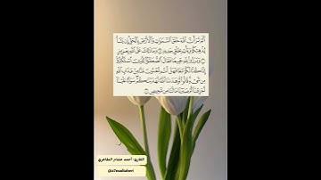 سورة إبراهيم (١٩-٢١) ليلة ٢٥ رمضان ١٤٤٦ هـ مسجد نشمية المطيري