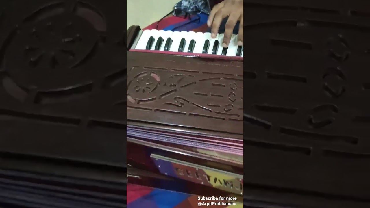 Professional harmonium player 