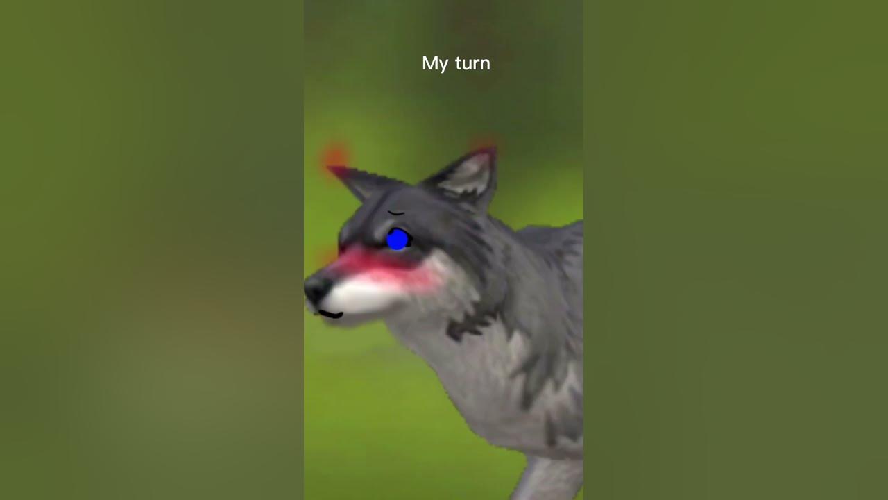 wildcraft heat pup YouTube