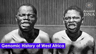 Genomic History of West Africa