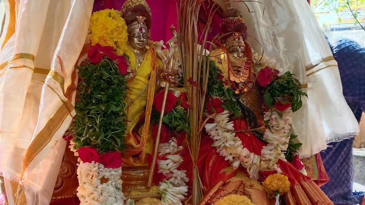 #శివపార్వతుల లోకకళ్యాణం అంగ రంగ వైభవంగా జరిగింది చూసేయండి #🙏🙏#