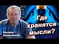 Где хранятся мысли человека? (2020-06-08)