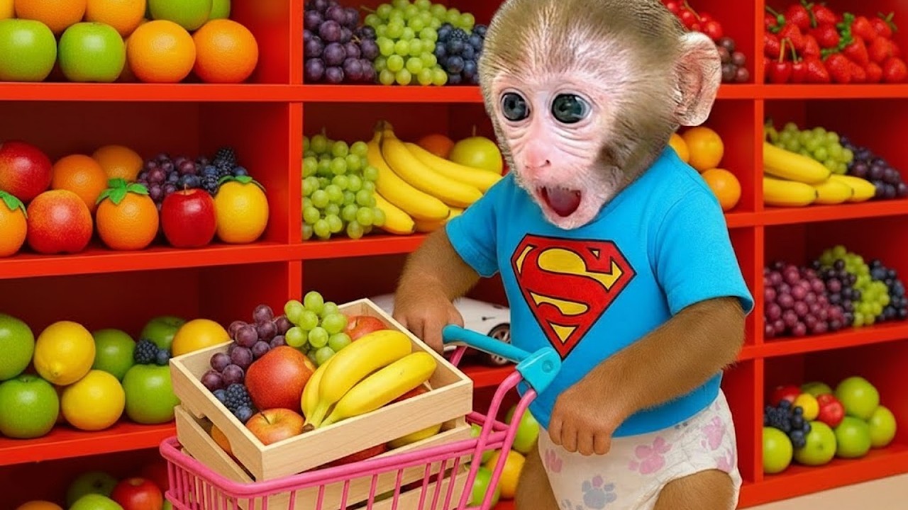 Bebé Mono GoGo Explora La Cueva De Cristal Mágica Para Encontrar La Sandía Gigante! - Gogo ESP