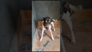 CHIQUITA   VID 20230515 WA0000