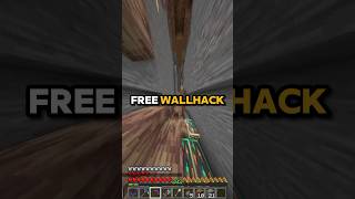 How To Get FREE Wallhack on ANY Server Or Single Player