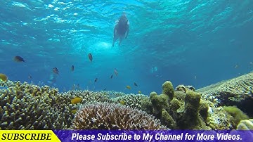 How to Create scrolling text On video through Kine Master Android Version #kinemaster #editing