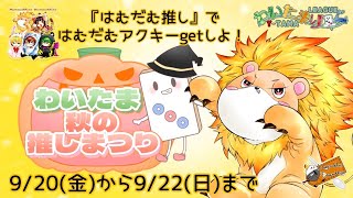 推し祭り1日目、日変わるまで！　#わいたま秋の推し祭り　#はむだむ　#わいたまりーぐ