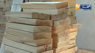 إقتصاد: نشارة الخشب .. وجه جديد للإستثمار في ظل ندرة المادة الأولية
