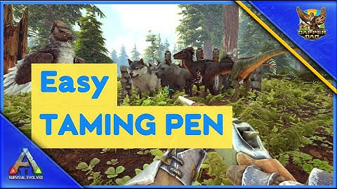Easy & Cheap Taming Pen