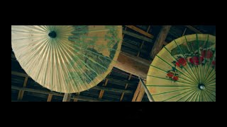 Chinese oil-paper umbrella