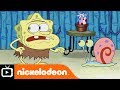 SpongeBob SquarePants | Squeaky Squeaky | Nickelodeon UK