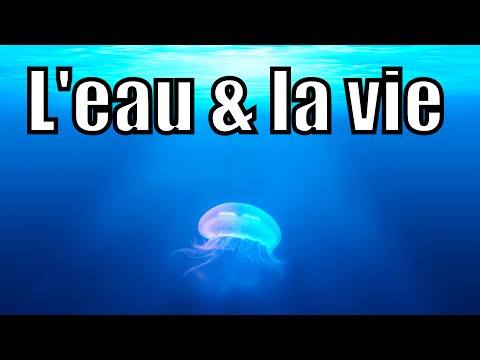 Vidéo: En quoi l'eau est-elle différente en dessous de son point de fusion et au-dessus ?