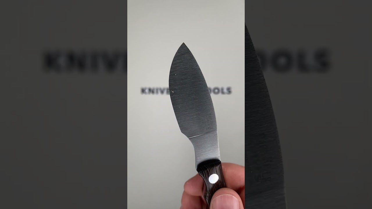 Bark River Mini Canadian CPM 3V Wenge, cuchillo fijo | Compras con