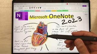 Microsoft OneNote - Top 27 Tips and Tricks for 2023 - How to Use for Beginners screenshot 2