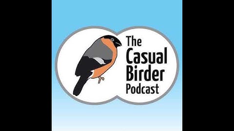 Episode 57: Common Swift