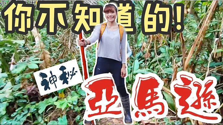 【秘魯旅遊】你沒看過的神秘「亞馬遜」• 雨林生活 Vlog，Episode 2 - 天天要聞