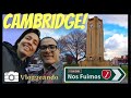 [VLOG 02] 📽 Vivir en Nueva Zelanda. Es tranquilo? 🌷 Paseo por el centro DE CAMBRIDGE