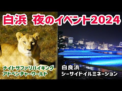 白浜の夜イベント2024!!アドベンチャーワールドのナイトサファリハイキング&白良浜シーサイドイルミネーションで盛り上がろう！(和歌山)-adventure world&Shirarahama-