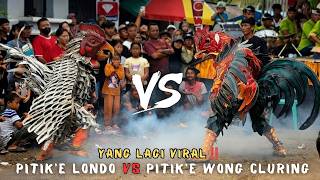 Pitik Tarung yang Lagi VIRAL‼️Jaranan Agung Wilis Cluring Banyuwangi 