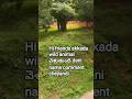 Hi friends good morning andi ekkada wild animal వెళుతుంది dani name comment cheyadi