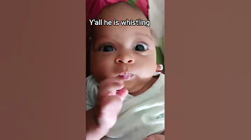 He Is Whistling Shortvideo Funny Comedy Cute 