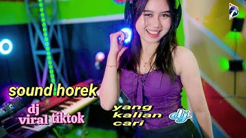 Aku Suka Nonton Sound Horeg Dj Viral Toktok-Eva Erlian Sari - Yg Kalian Cari [Official Music Video]