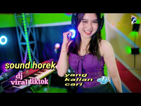 Aku Suka Nonton Sound Horeg Dj Viral Toktok Eva Erlian Sari Yg Kalian Cari Official Music Video