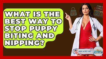 What Is The Best Way To Stop Puppy Biting And Nipping? - Ask A Pet Vet