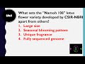 Video Tutorial Quiz