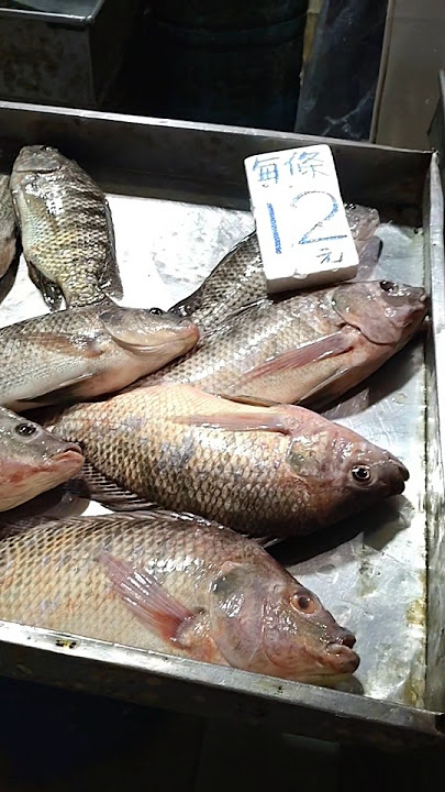 1 ekor ikan mujair $12 #yearsofyou