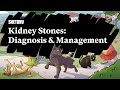 Kidney Stones Overview (Diagnosis & Management) Part 1 | Sketchy Medical | USMLE Step 2 CK