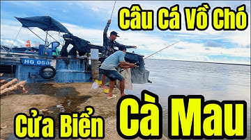 Một Ngày Câu Cá Vồ Chó Ở Cửa Biển Cà Mau #video 