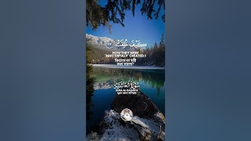 سورة الغاشية Surat Al-Ghashiya  #عبدالولي_الاركاني #abdulwali_alarkani